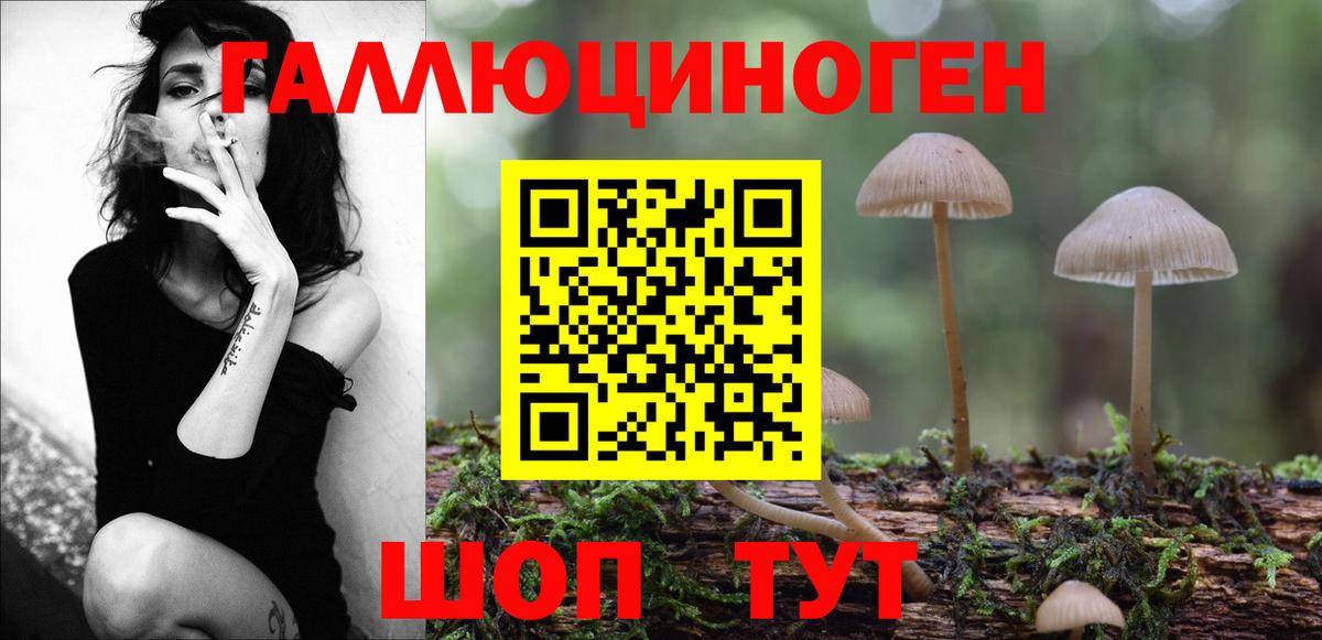 Псилоцибиновые грибы Psilocybine cubensis Янаул